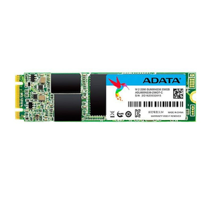 اس اس دی ای دیتا مدل Adata SSD SU800 M.2 ظرفیت 128 گیگابایت