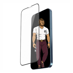 گلس محافظ صفحه مات گرین مدل Matte برای گوشی آیفون 13