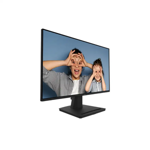 مانیتور 24.5 اینچ ام اس آی MSI Pro MP251-1