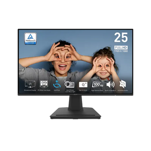 مانیتور 24.5 اینچ ام اس آی MSI Pro MP251